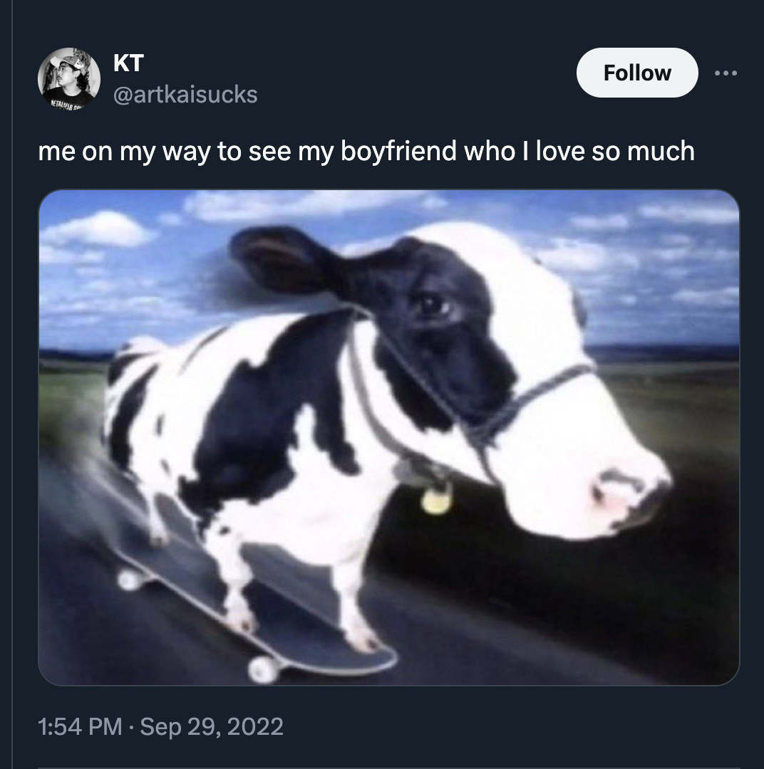 cow riding skateboard - Kt me on my way to see my boyfriend who I love so much